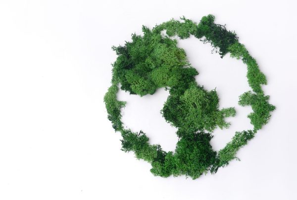 ConscienceWealth_ sustainable investing_Lifetime impact portfolios